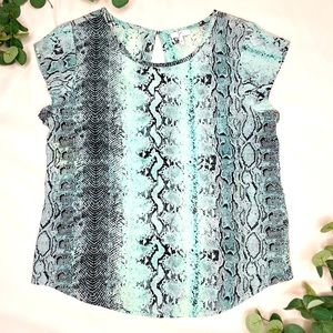 Joie Silk Top